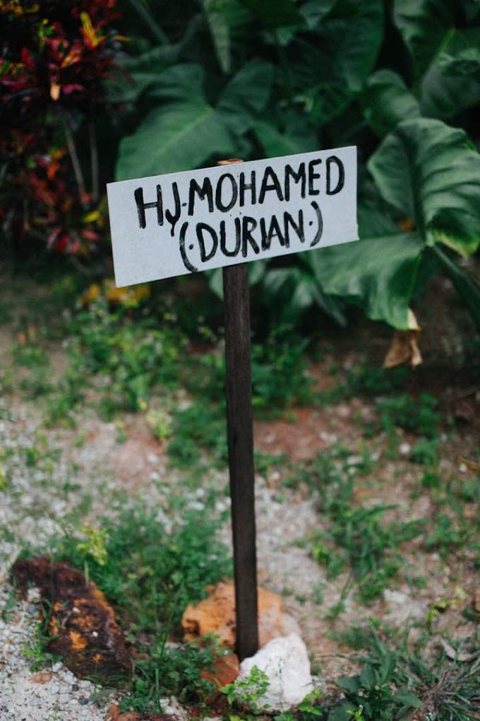 Durian Delight: 10 Must-Visit Roadside Stalls in Johor 
