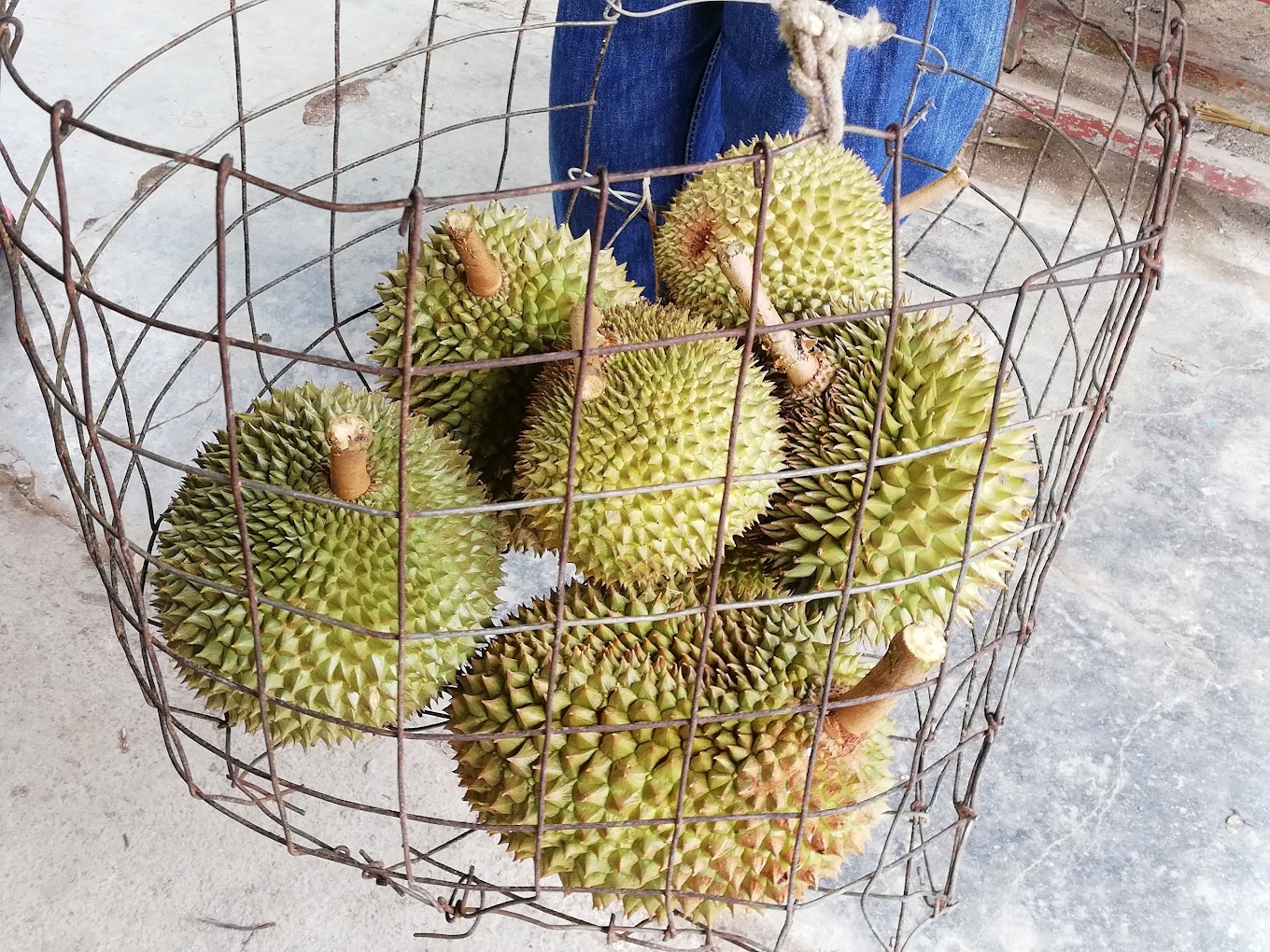 Durian Delight: 10 Must-Visit Roadside Stalls in Johor 