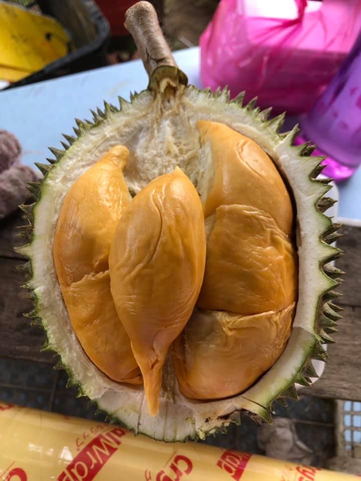 Durian Delight: 10 Must-Visit Roadside Stalls in Johor 