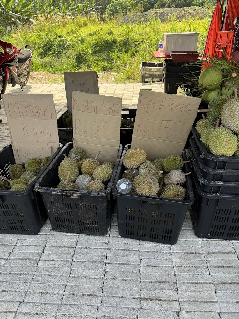 Durian Delight: 10 Must-Visit Roadside Stalls in Johor 