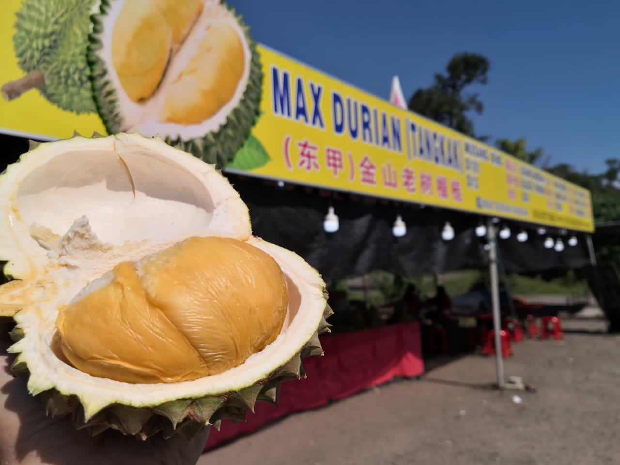 Durian Delight: 10 Must-Visit Roadside Stalls in Johor 