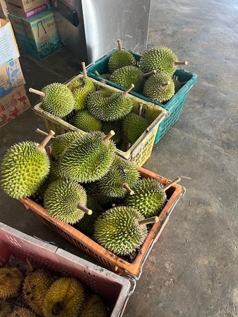 Durian Delight: 10 Must-Visit Roadside Stalls in Johor 