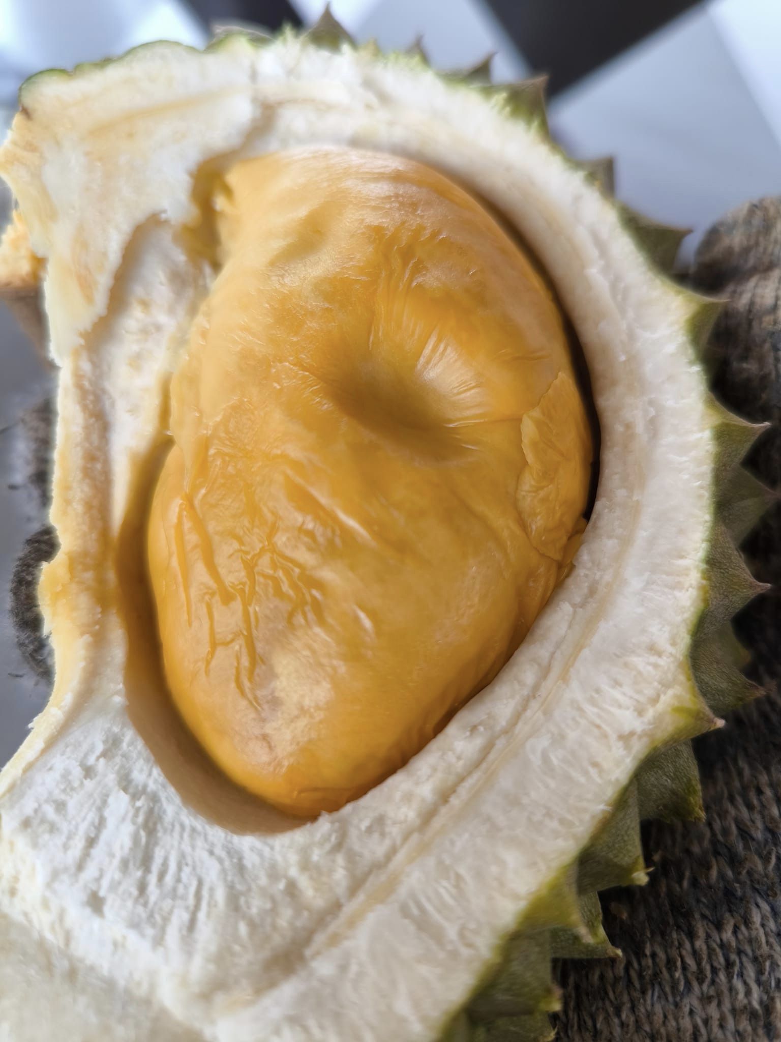 Durian Delight: 10 Must-Visit Roadside Stalls in Johor 
