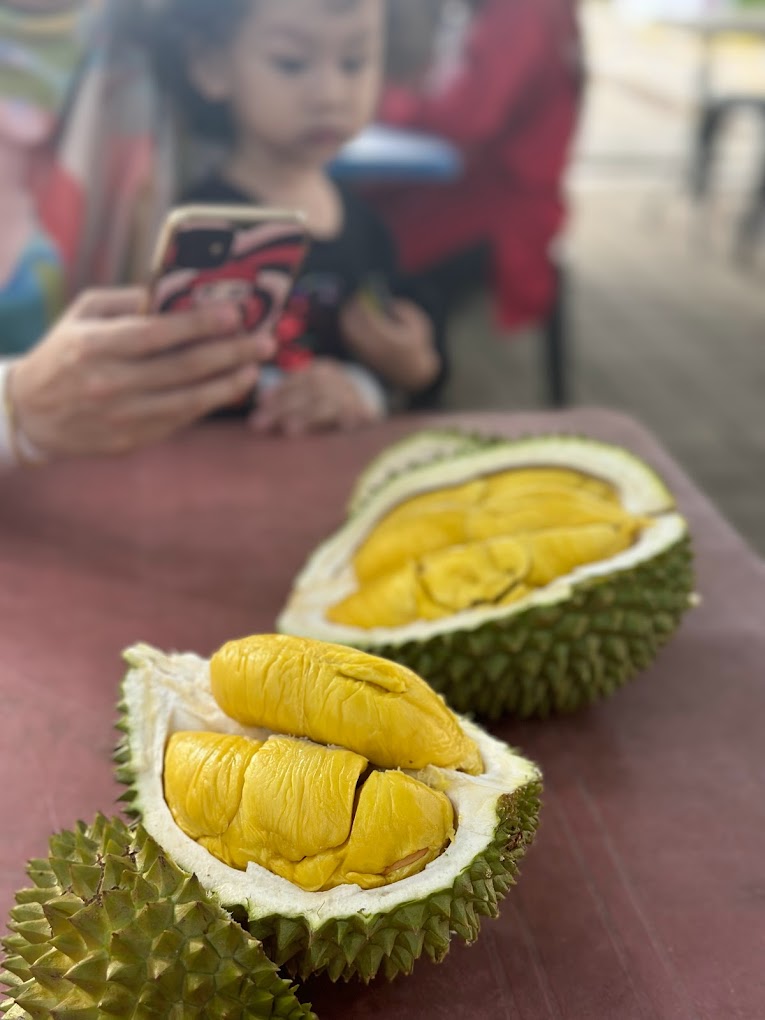 Durian Delight: 10 Must-Visit Roadside Stalls in Johor 