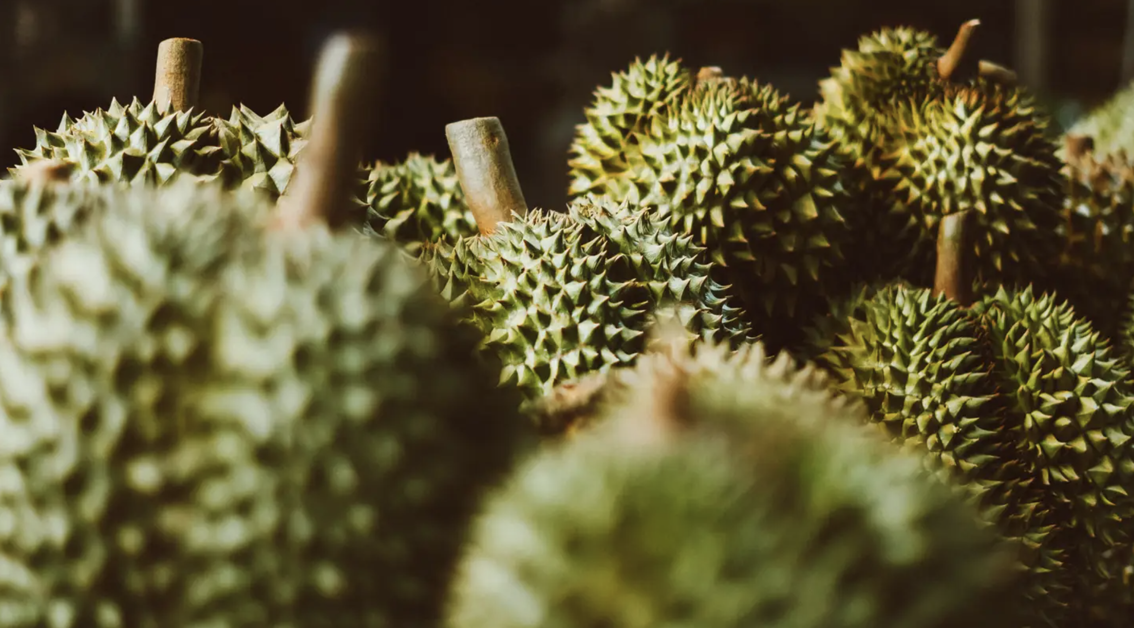 Durian Delight: 10 Must-Visit Roadside Stalls in Johor 