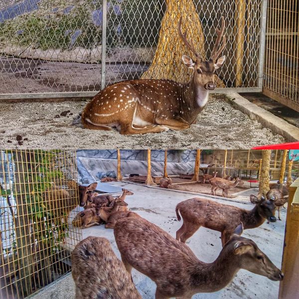 Indoor Theme Parks in Kuala Lumpur: A Fun-Filled Family Guide Indoor Theme Parks in Kuala Lumpur: A Fun-Filled Family Guide